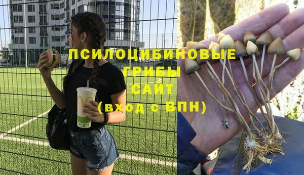альфа пвп Ладушкин