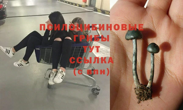 герыч Кукмор