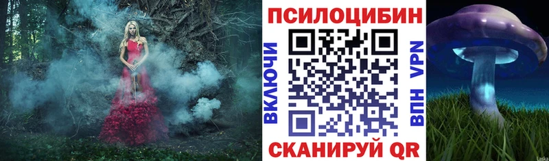 Псилоцибиновые грибы Cubensis  Людиново 